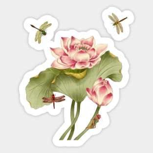 Vintage Lotus Flowers and Dragonflies illustration Sticker